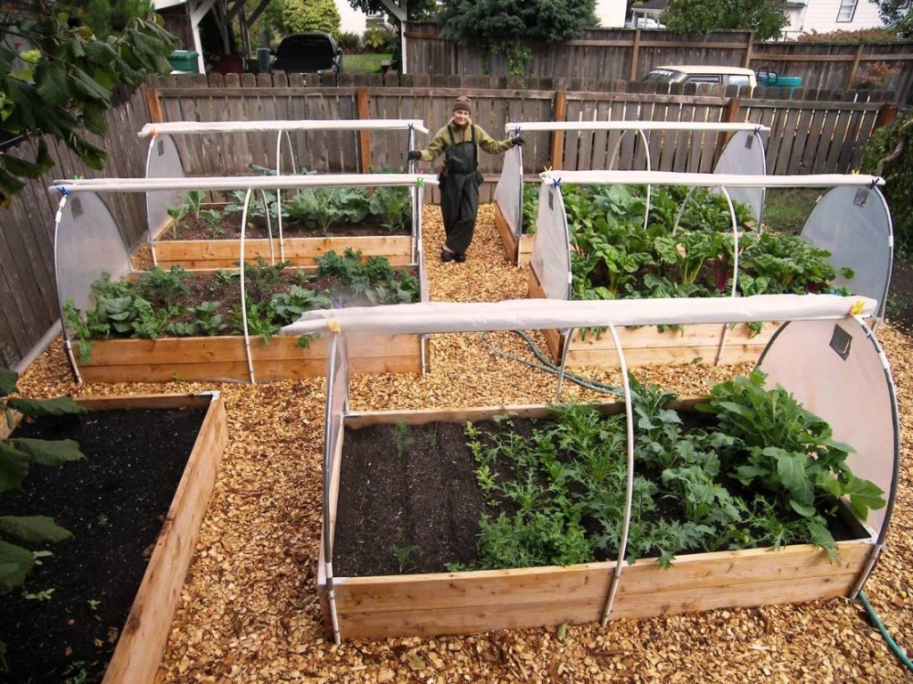 The Vegetable Gardening For Beginners
