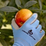 Best Gardening Gloves