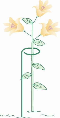 Flower Supports Plant Stakes