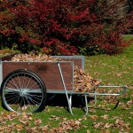 Garden Way Cart