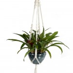 Handmade Plant Hangers