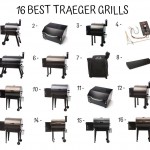 16 Best Traeger Grills