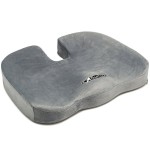 Back Support Cushion
