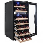 Dual Zone Wine Cooler Reviews