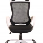 Executive Chairs For Back Pain