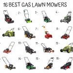 16 Best Gas Lawn Mower