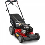 Best Gas Lawn Mower