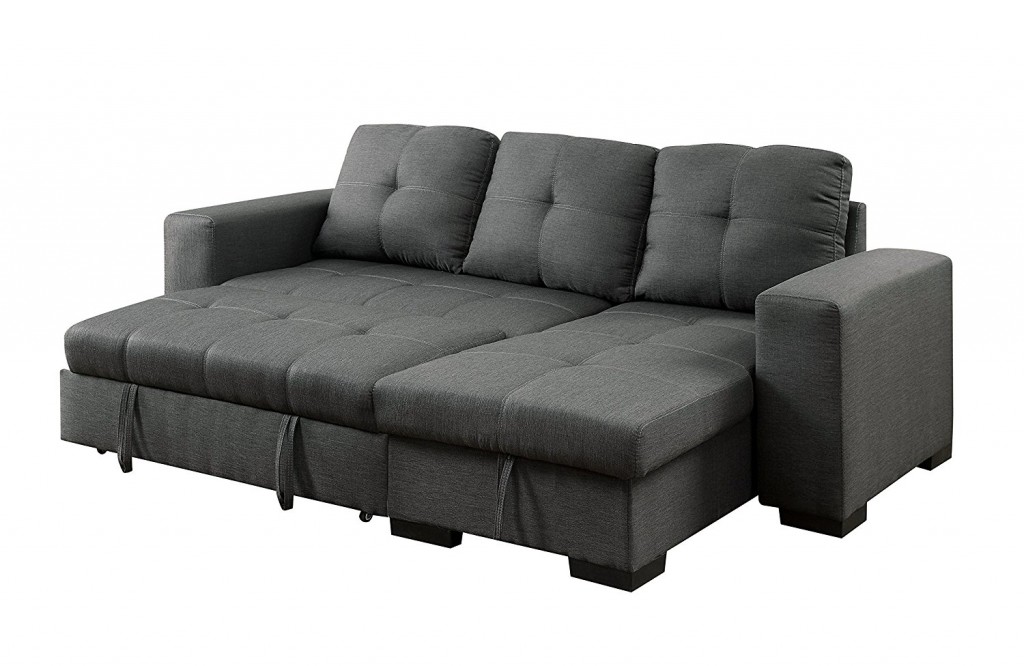 Sectional Couch With Pull Out Bed