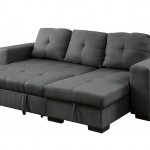 Sectional Couch With Pull Out Bed