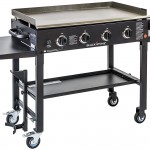 Charcoal Grill Home Depot