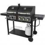Gas And Charcoal Grill