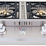 Lion Gas Grill