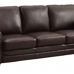 Leather Couch