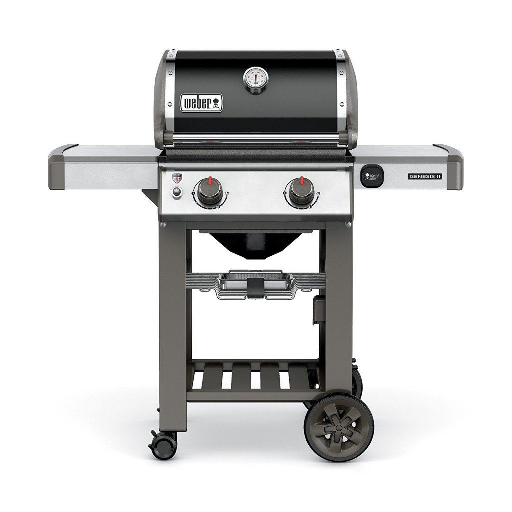 Weber 2 Burner Gas Grill