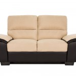 Microfiber Leather Couch