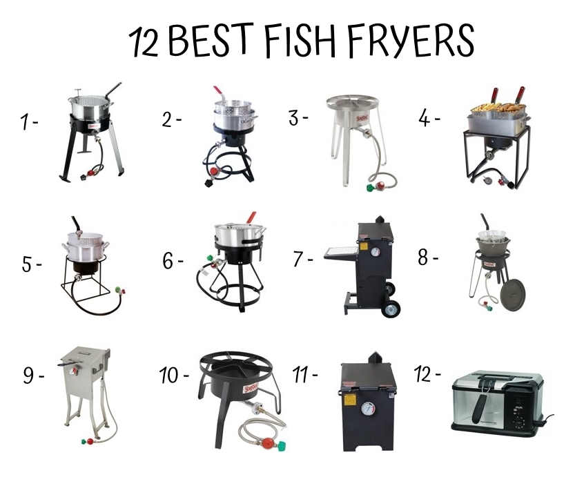 12 Best Fish Fryers