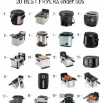 20 Best Fryers Under 50$