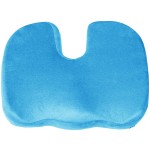 Aqua Lumbar Pillow