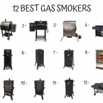 12 Best Gas Smokers