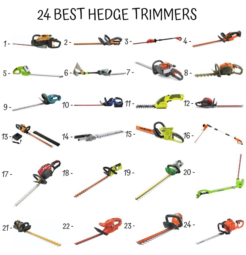 24 Best Hedge Trimmers