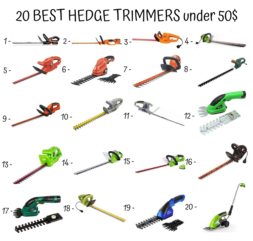 20 Best Hedge Trimmer Under 50$
