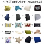 20 Best Lumbar Pillows Under 50$