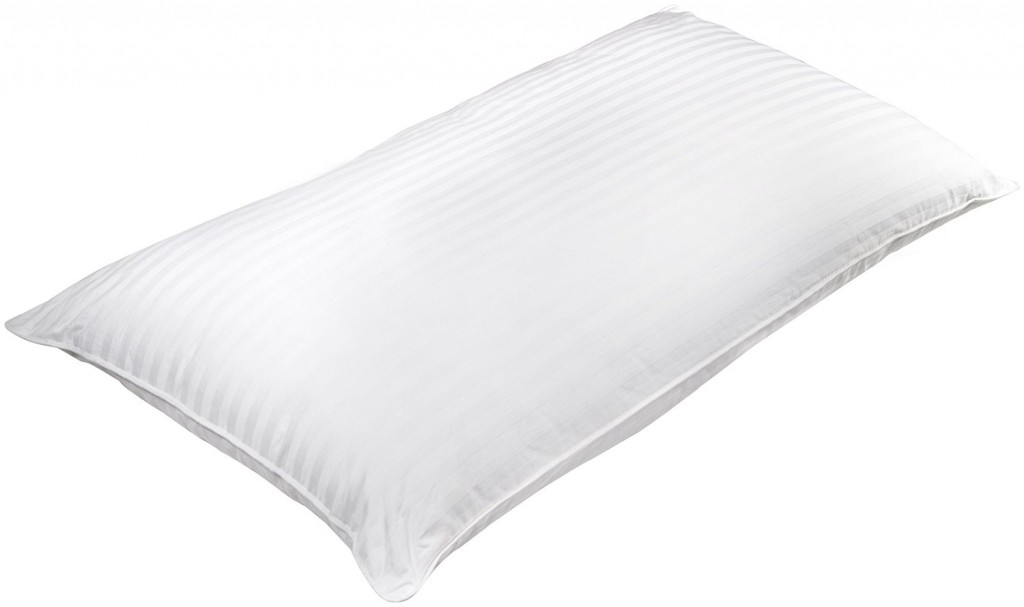 Aus Vio 100 Percent Silk Filled Pillow