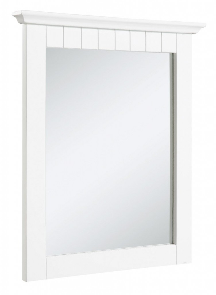 Vanity Mirror Cabinet